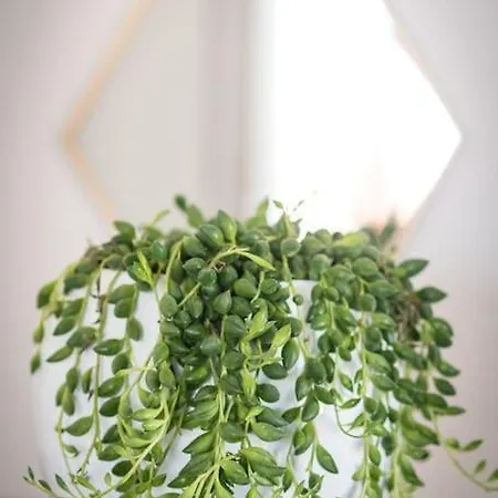 C'est L'amour à La * Narbonne-Plage